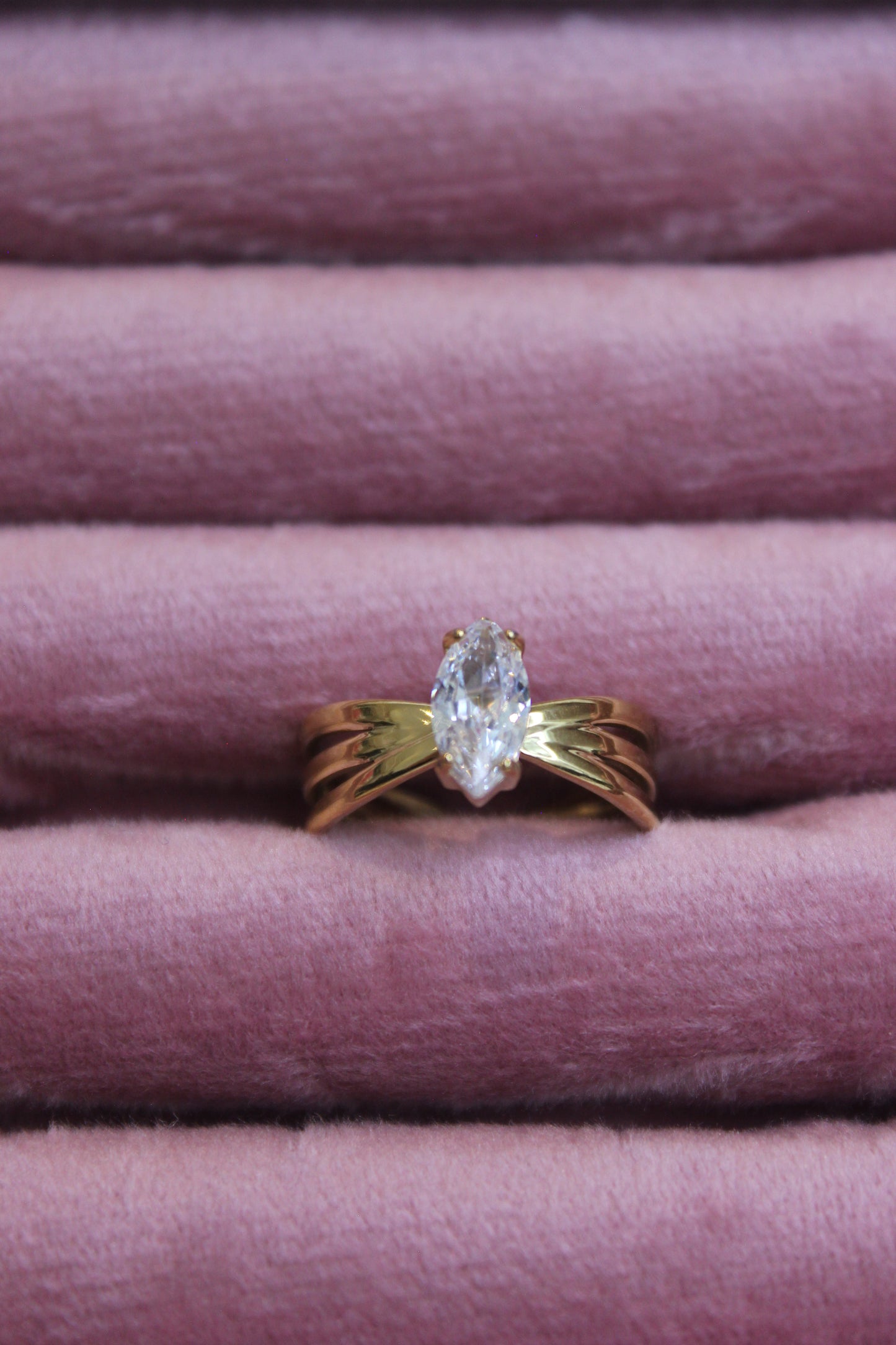 Ring Benedita