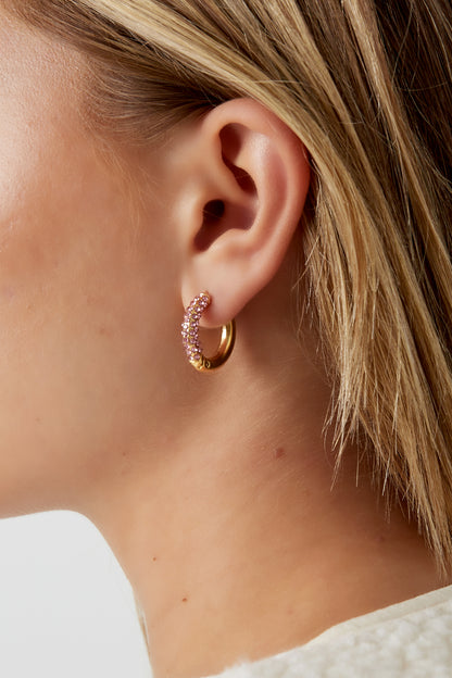 Shiny Rings earrings