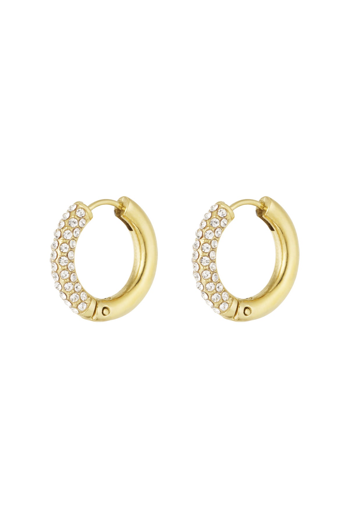 Shiny Rings earrings