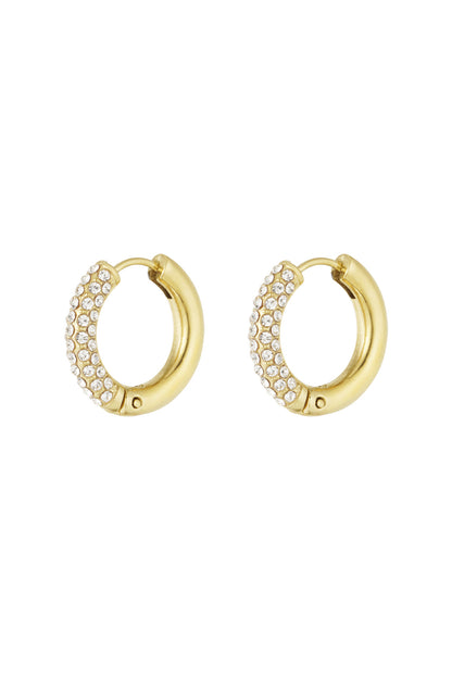 Shiny Rings earrings