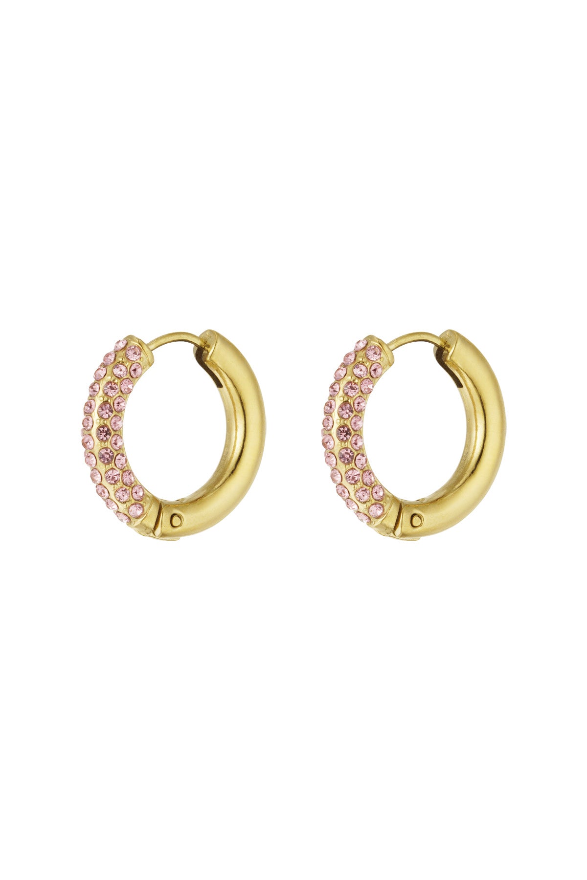 Shiny Rings earrings