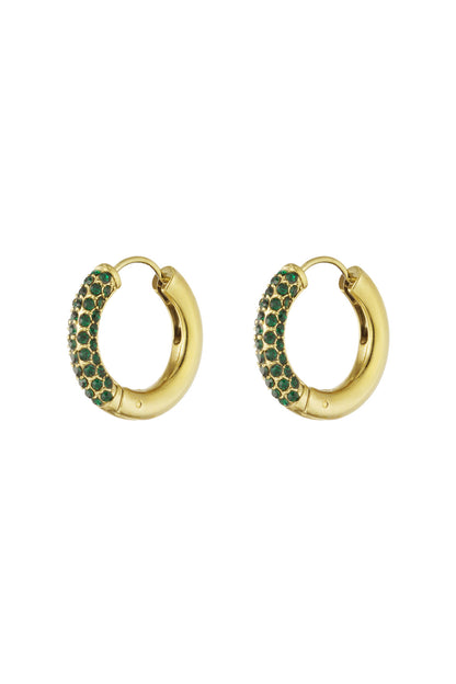 Shiny Rings earrings